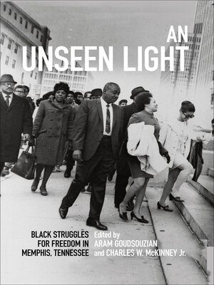 cover image of An Unseen Light
